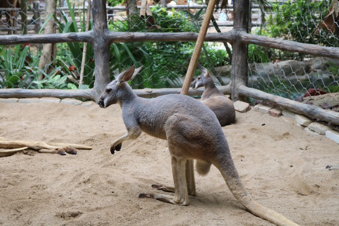 三亚大理丽江哪里拍婚纱照好,去三亚拍婚纱照中国风