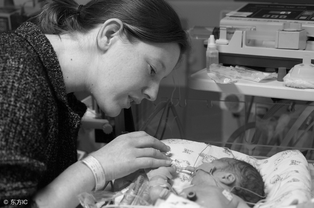 1959年12月出生的属猪人晚年运势,属猪人生于几月不好