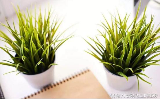 美国海关禁止和限制入境的物品,美国海关入境携带物品规定