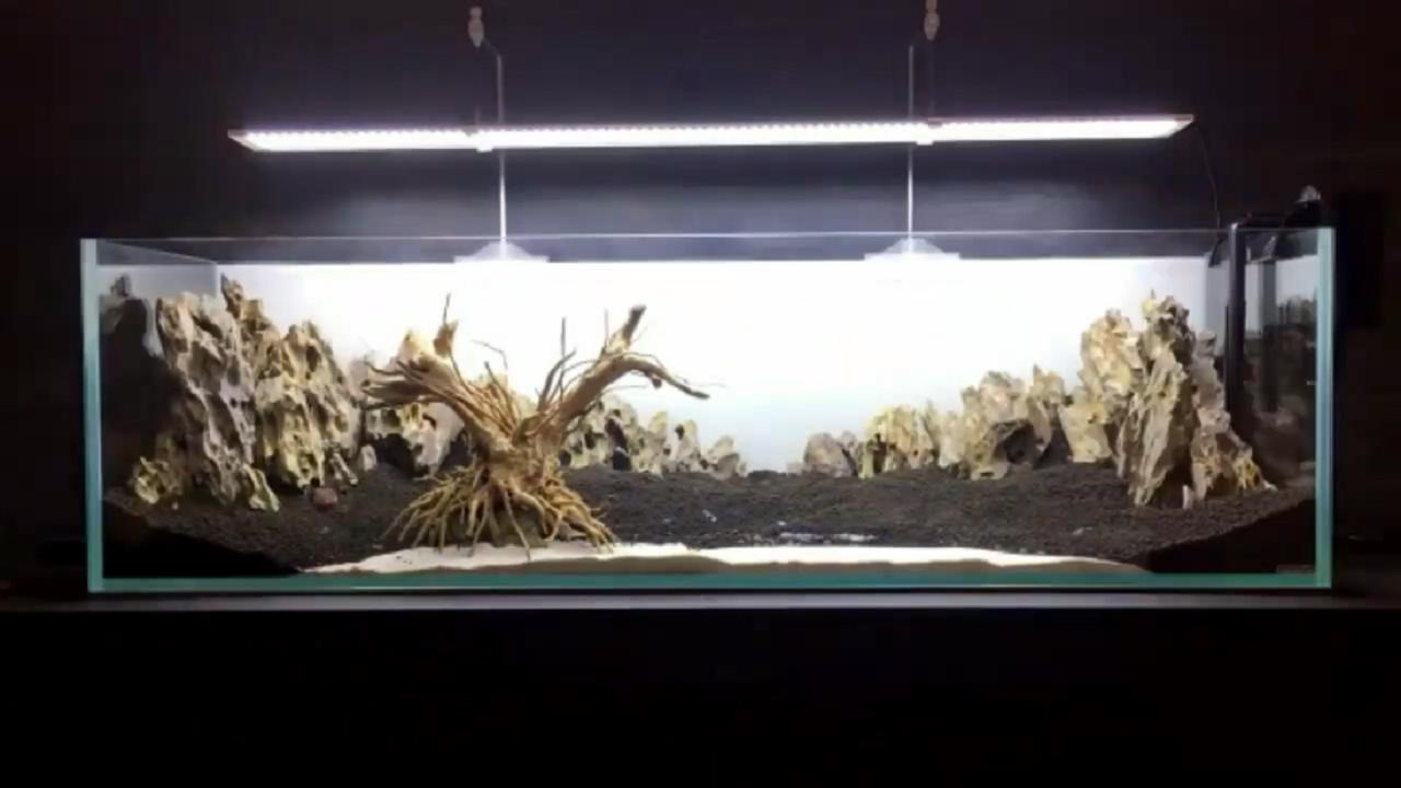 鱼缸微景观的方法和技巧,桌面鱼缸造景新手教程