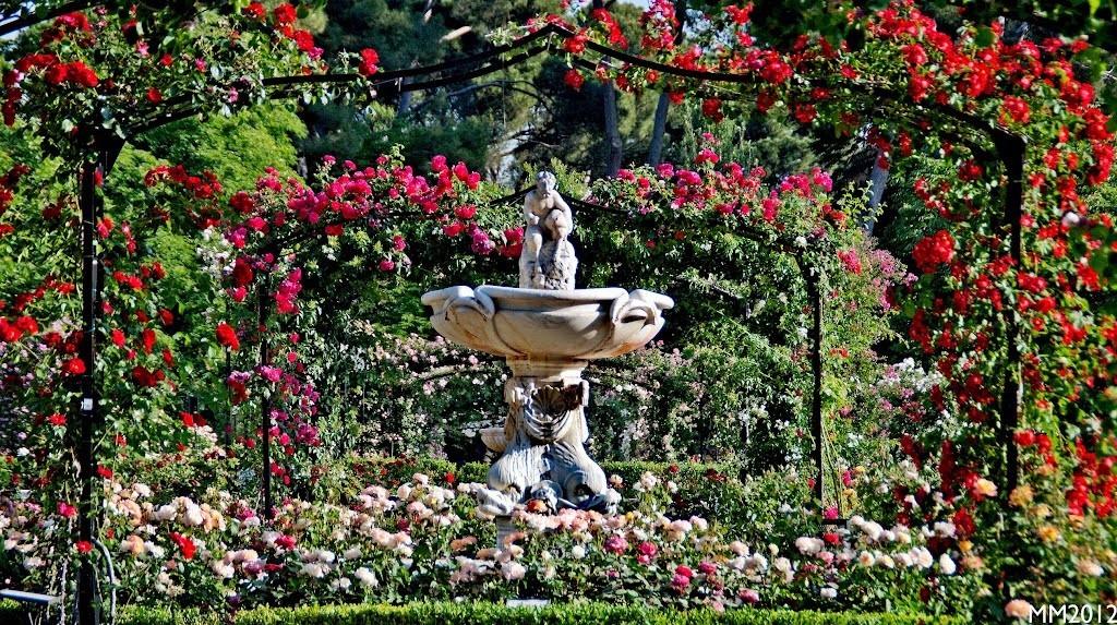 马德里的正确打开方式¡HalaMadrid！