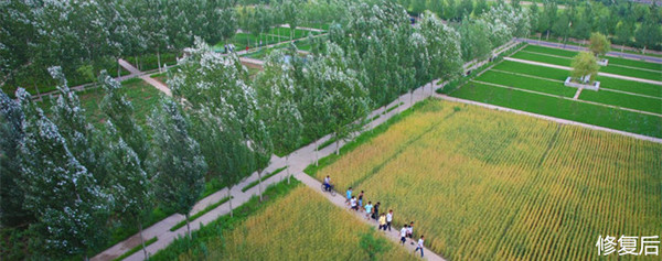 城市双修的缺点,什么是城市双修