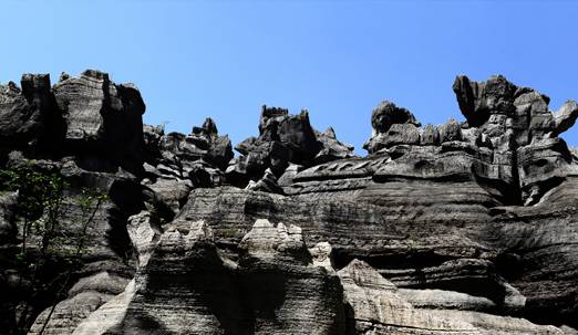 春节重庆免费景点大全,重庆自驾免费景点