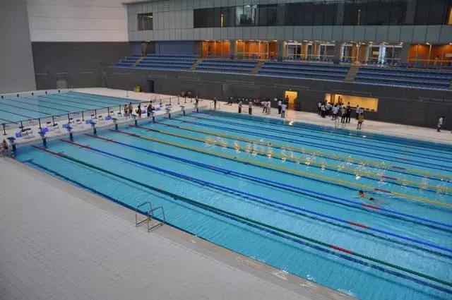 深圳文体中心游泳馆,深圳最好的游泳馆在哪里