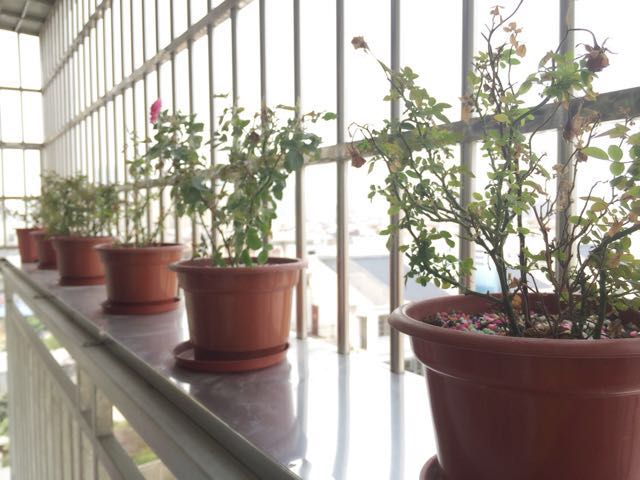 150平米简约风格,150平方房子装修轻奢风没有厨房