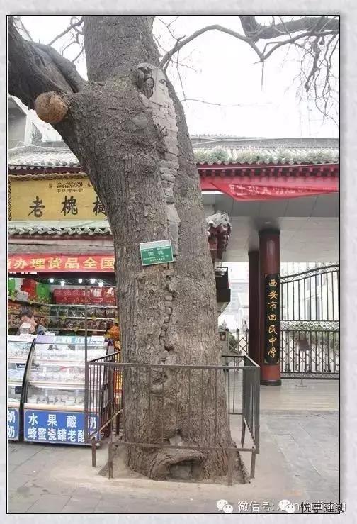 西安市回民中学2010年,西安回民学校