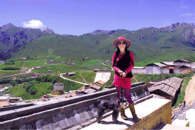 狗是唯一喜欢你的生物,狗是唯一爱主人胜过爱自己的动物