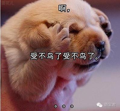 备孕期间会出现什么症状,备孕总是想事情如何调整