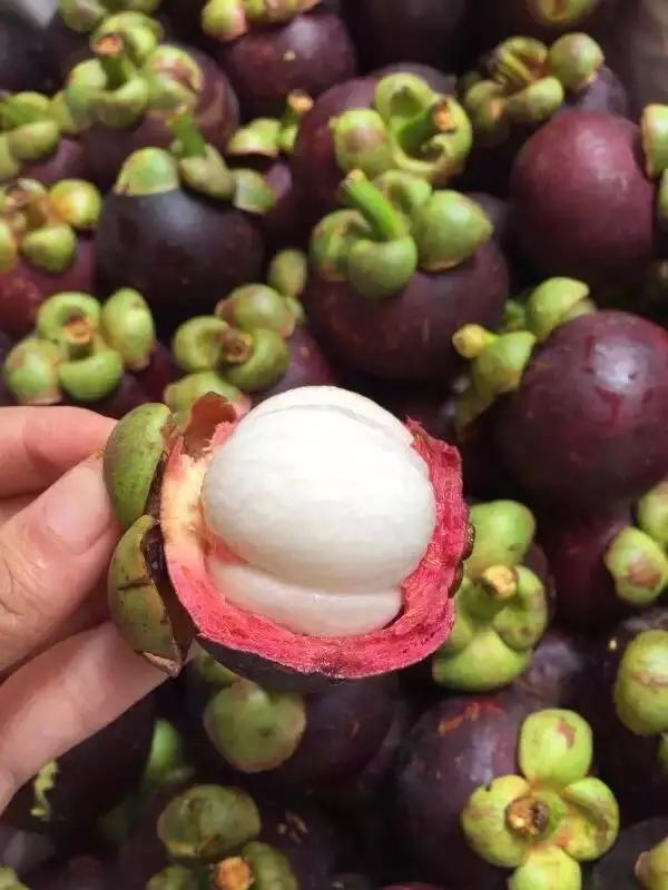 合肥惊现光速水果外卖，最晚到凌晨12点，这么任性的只有它了！