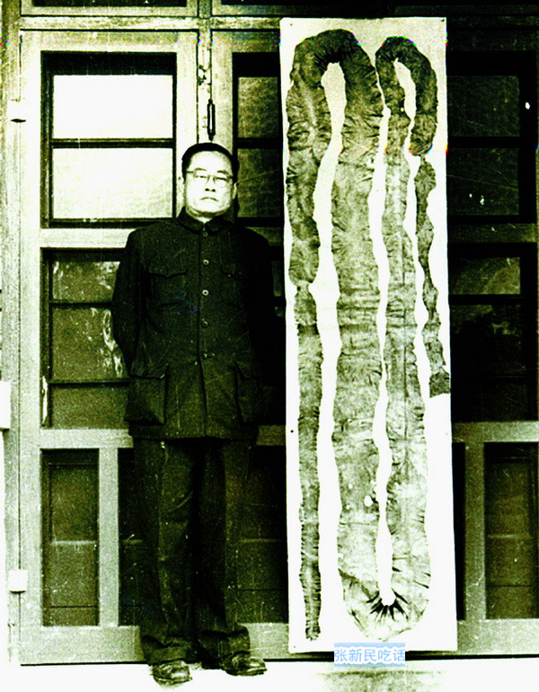 潮汕紫菜有多厉害,紫菜到底好不好