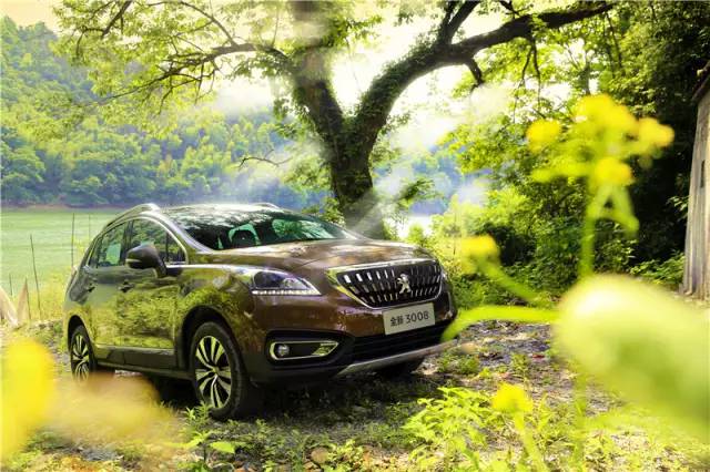 “高卢雄狮”还需要懂的人欣赏，试驾东风标致全新3008