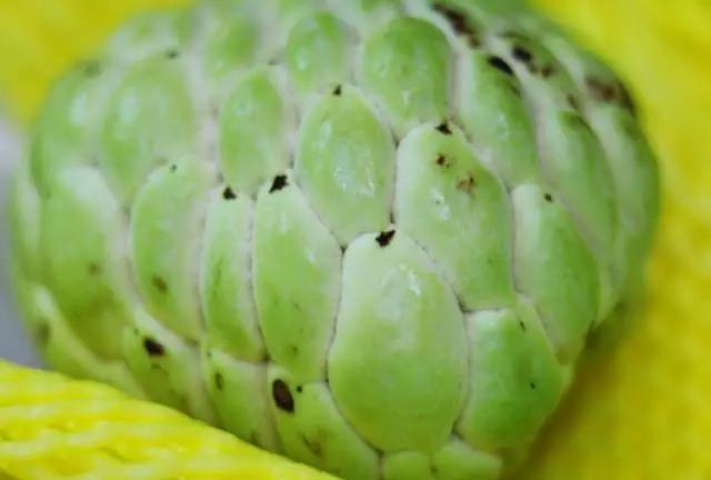 合肥惊现光速水果外卖,最晚到凌晨12点,这么任性的只有它了!