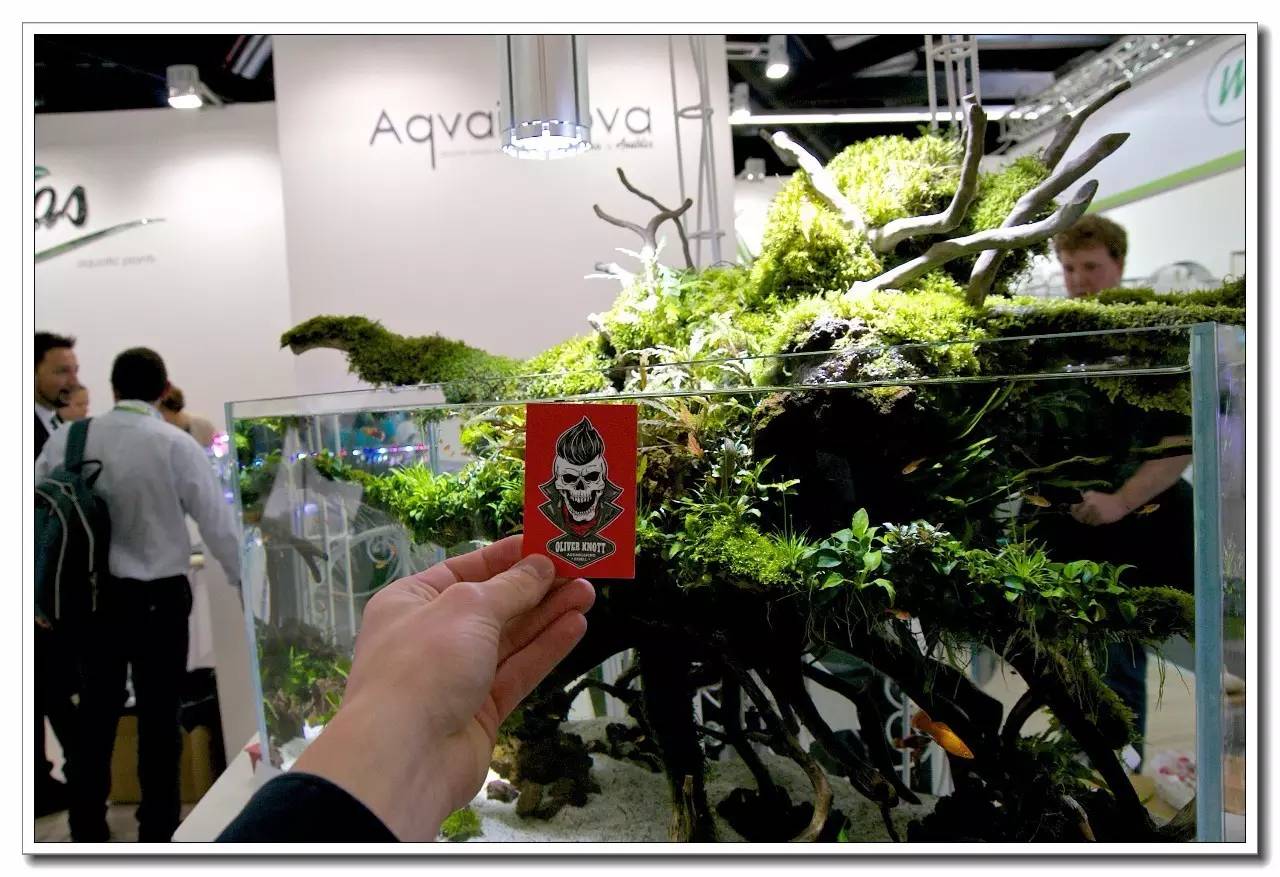 德国纽伦堡宠物展,2018德国纽伦堡宠物展