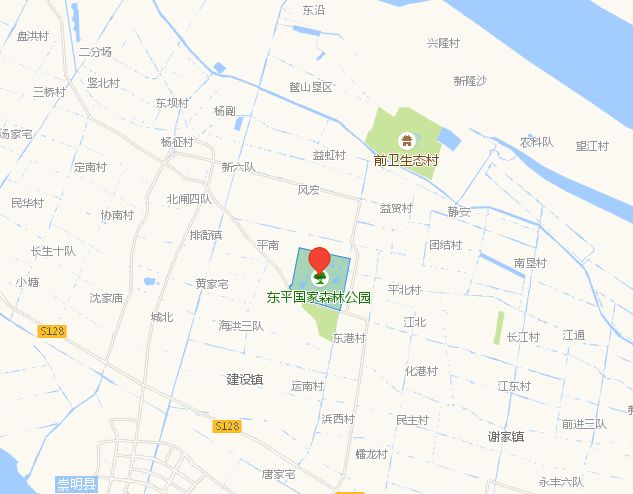 植树节去蚂蚁森林,植树节到