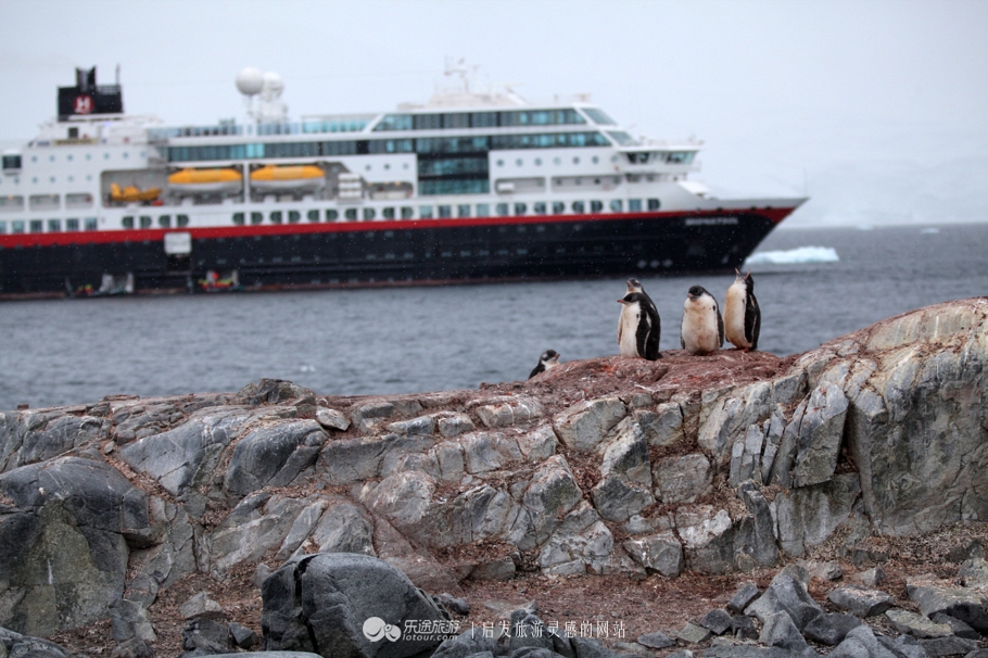 南极靠着什么大洋,南极无数人梦寐以求的终极目的地