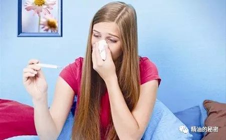 这四款精油是“女性的小护士”，帮你解决各种身体问题！