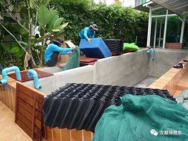 鱼缸水质ph值如何调节,鱼缸ph值什么意思