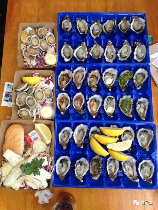 「白兔堂」可能只有不到10%的游客在澳洲玩到了这些！你玩对了吗？