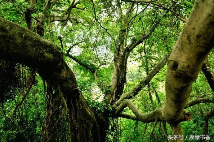 90副绝妙对联都是千古绝对,天若有情天亦老千古名句对联