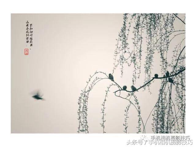 普通人如何拍出好看的照片,拍出风光好照片的30个基本功