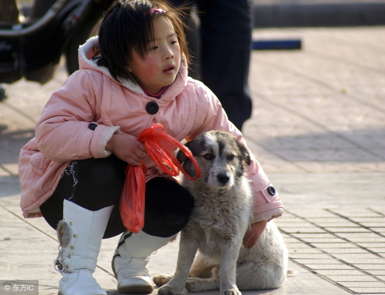 没得狂犬病的狗咬了要紧吗,没得狂犬病的猫被挠了要紧吗