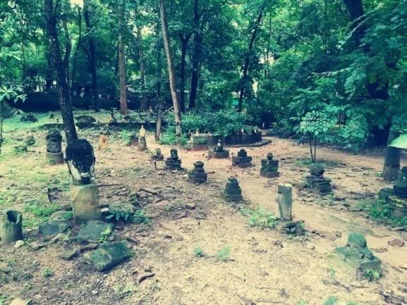 君行体验官专栏丨他在佛之国度，邂逅了一场浪漫