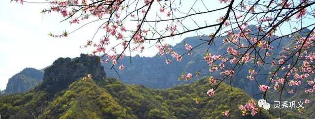 原谅她吧！巩义的春天就这么不低调