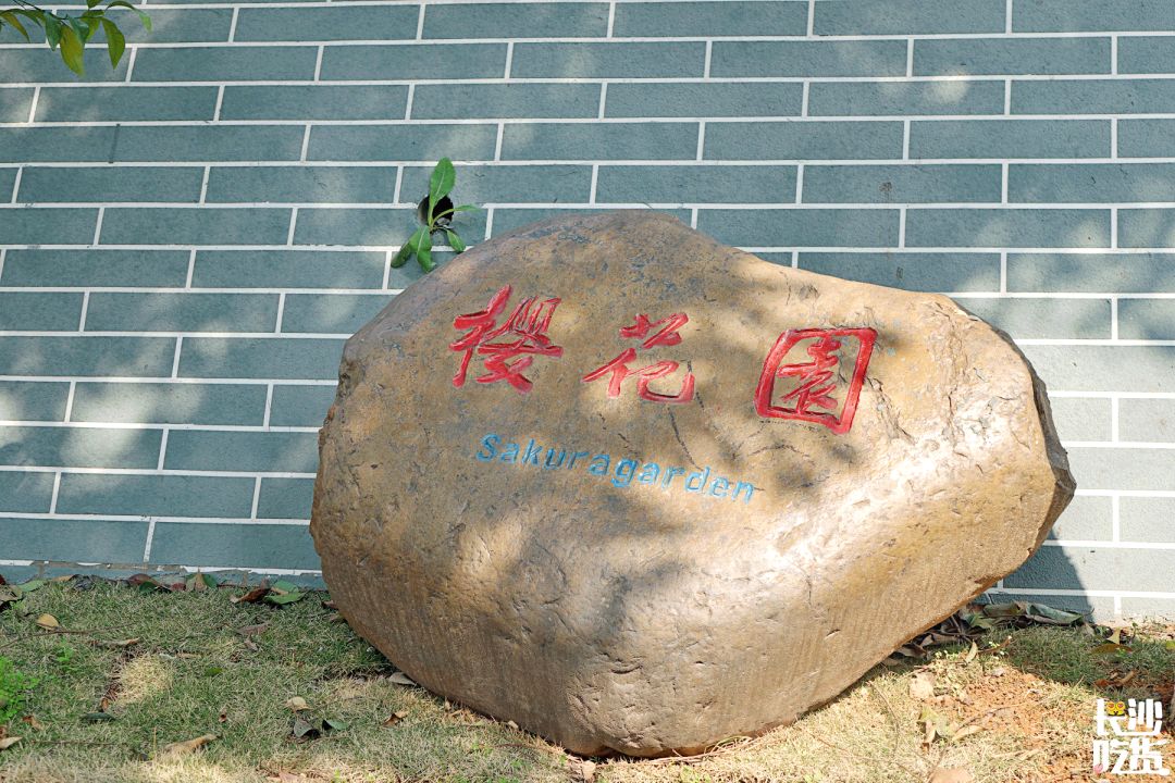 湖南信息学院为什么不出名,湖南信息学院水平怎么样