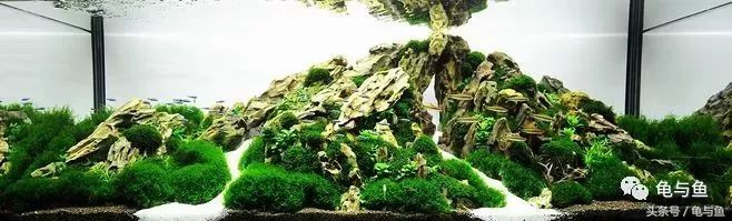 计量单位科普,水族科普视频