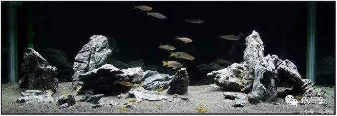 计量单位科普,水族科普视频