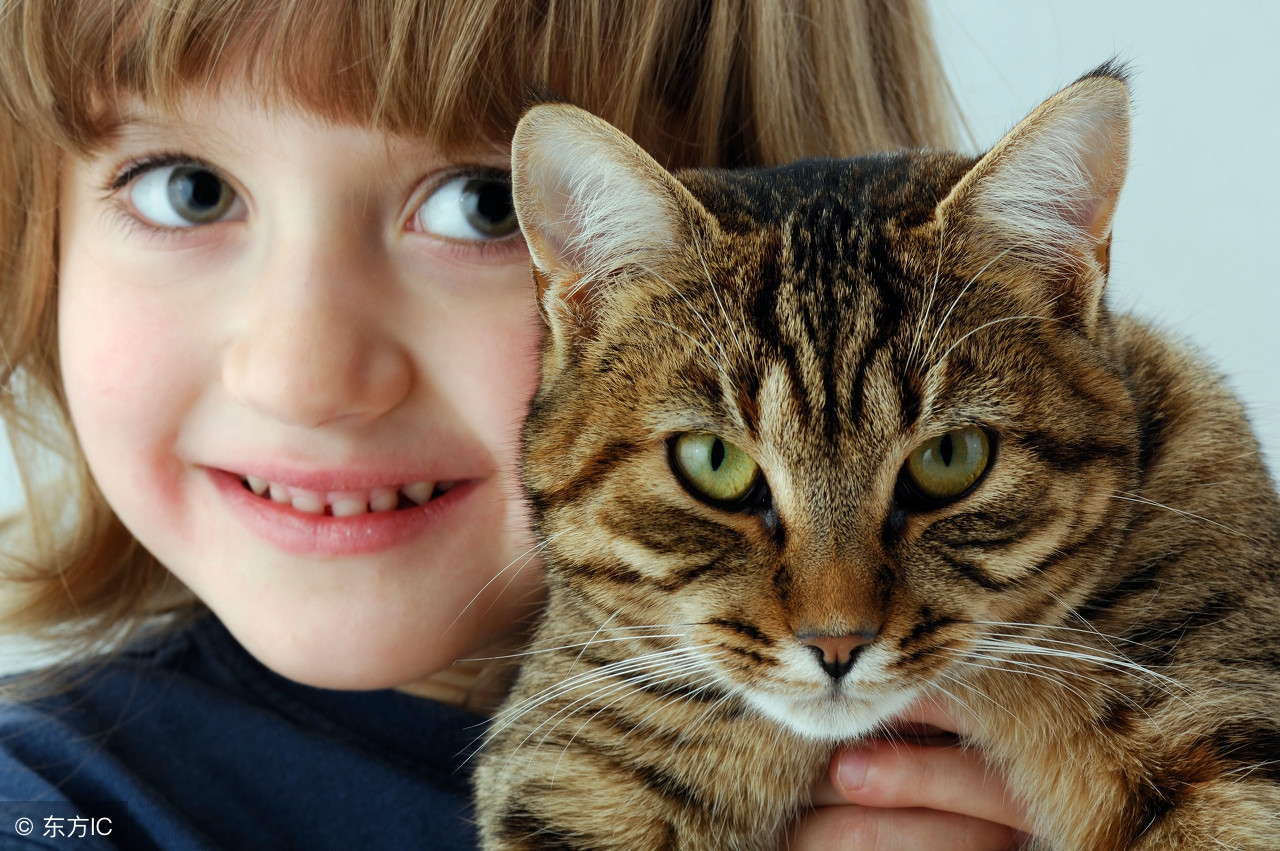 什么情况下给猫咪打疫苗,猫咪疫苗第一针和第二针最长间隔