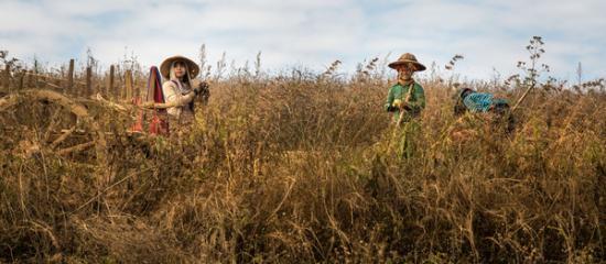 行摄缅甸之风情时光,缅甸之旅缅甸日记