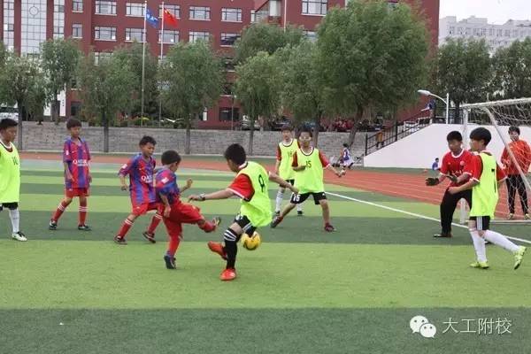 甯堟牎瓒崇悆鐩存挱,鏁欒偛瀛﹂櫌瓒崇悆鐩存挱