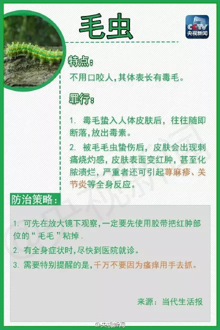 夏天到了，苏州人当心这些小虫，有人进了重症监护室，有人丧了命！