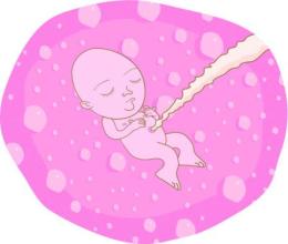 生完孩子后胎盘可以吃吗,生了孩子后胎盘可以吃吗