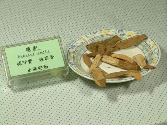 骨碎补续断当归治骨伤,旧骨伤疼痛可以喝续断吗