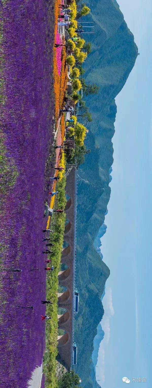 北京郊区的薰衣草庄园有哪些,北京最美薰衣草庄园