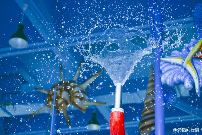 珠海长隆旅游攻略和住宿,珠海长隆周末有什么活动