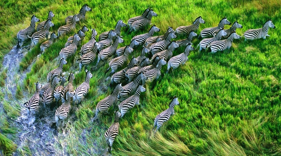 手机ppt制作入门教程,PPT制作教程新手入门方法和技巧