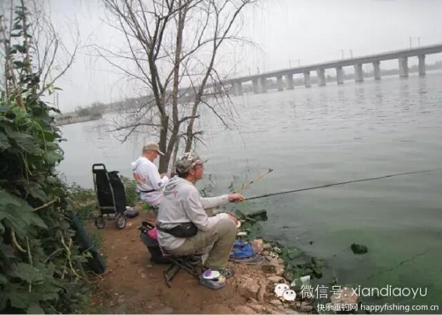 西安灞河钓鱼钓点,灞河路亚白条的钓点