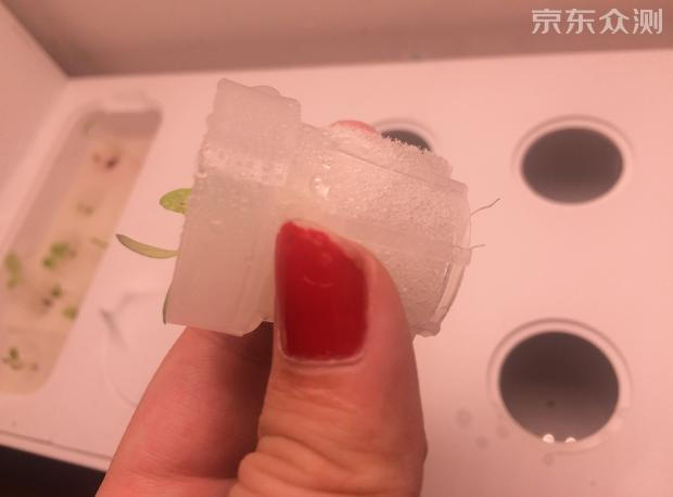 绿色环保农家小菜园,绿色无公害的自家小菜园