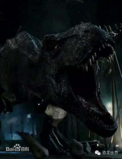 地球生物进化史第1集 (古生物三部曲bbc)