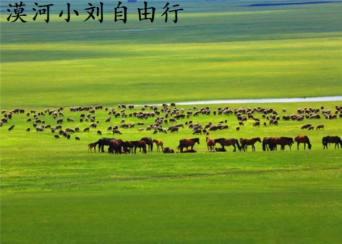 呼伦贝尔旅游住宿价格表,呼伦贝尔蒙古包住宿费用