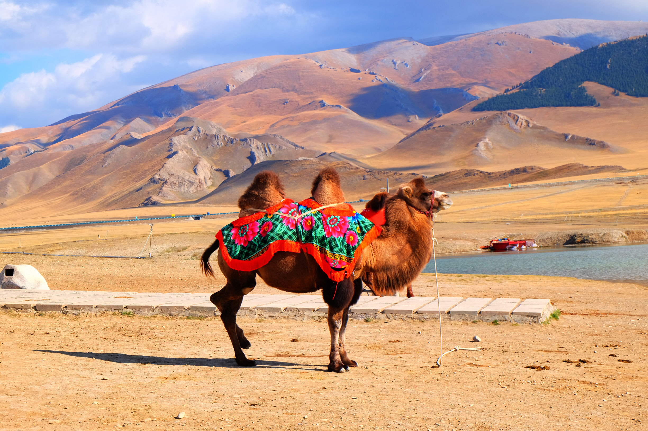 新疆伊犁14天旅行攻略,8天伊犁之旅