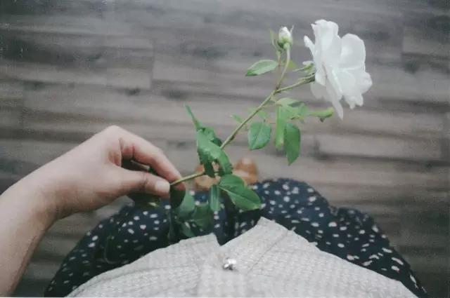 张小娴爱情时光,张小娴所有的相遇