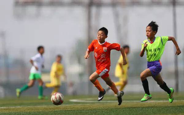 山东鲁能在金元足球期间赚了多少,中超金元时代结束后的鲁能