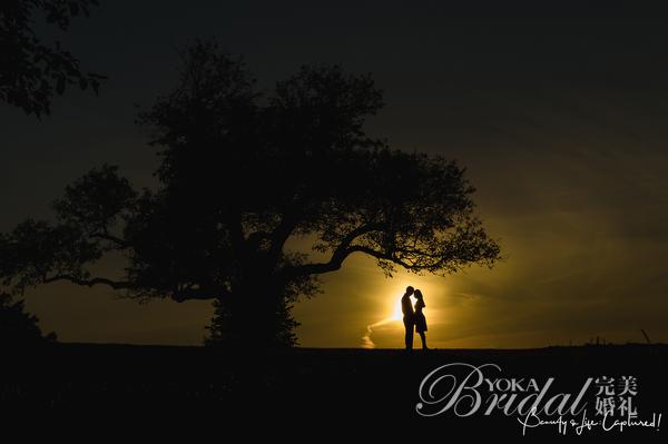 婚纱照秀恩爱图片大全,夫妻恩爱的婚纱照发下来