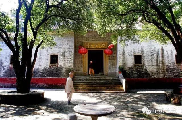 肇庆鼎湖山林,肇庆鼎湖山全景图