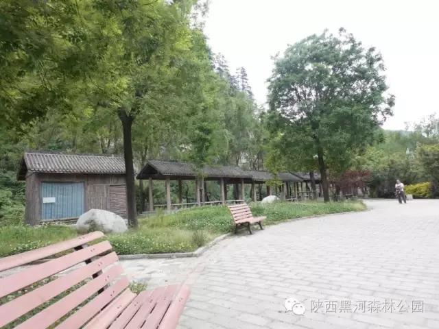 西安周边周至老县城,陕西香格里拉