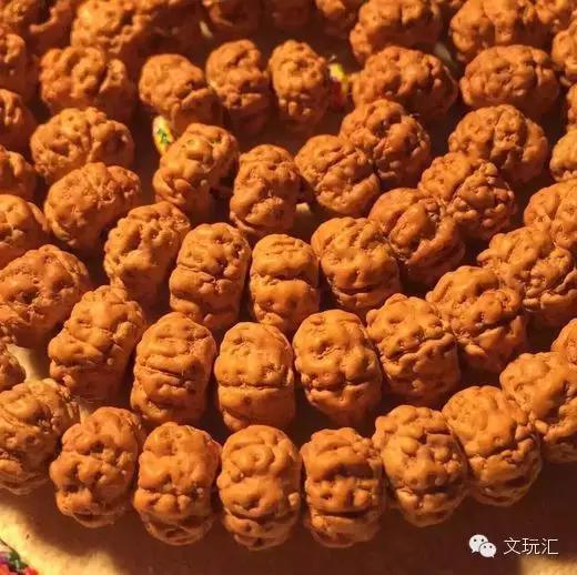 金刚菩提青皮怎么挑选,3000块钱能买什么样的金刚菩提